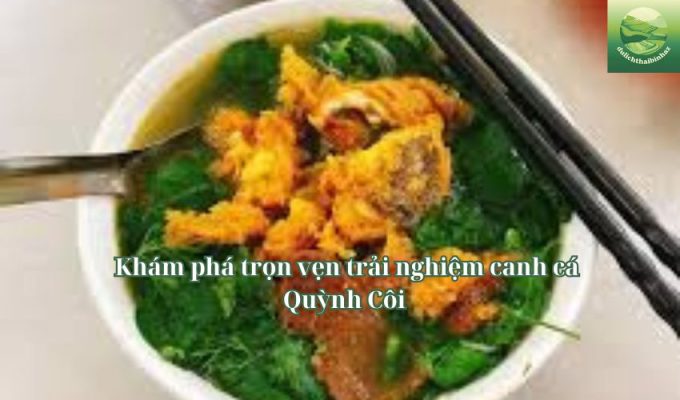 Khám phá trọn vẹn trải nghiệm canh cá Quỳnh Côi 