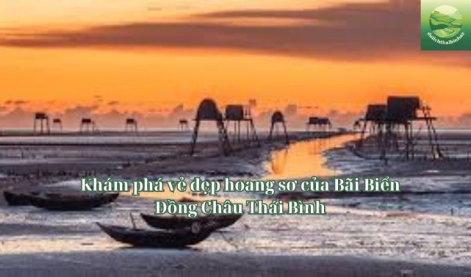 Khám phá vẻ đẹp hoang sơ của Bãi Biển Đồng Châu Thái Bình