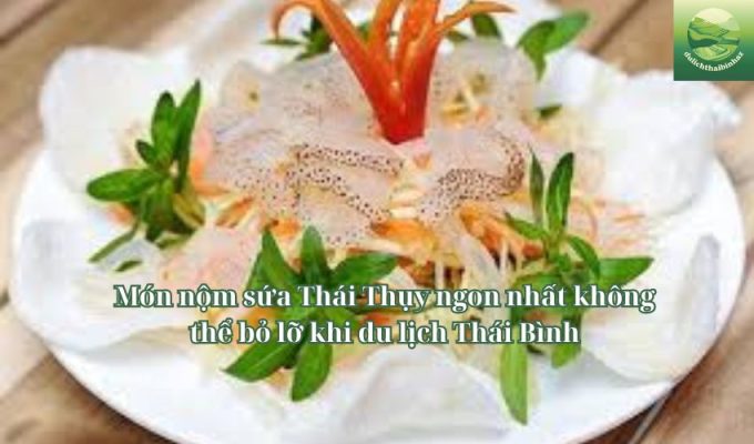 Món nộm sứa Thái Thụy ngon nhất không thể bỏ lỡ khi du lịch Thái Bình