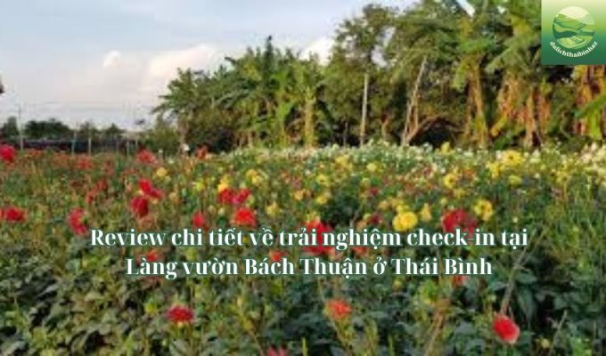 Review chi tiết về trải nghiệm check-in tại Làng vườn Bách Thuận ở Thái Bình